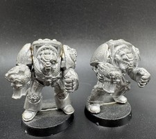 Rogue trader space - trader, marine