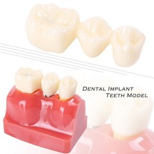 1 × Dental Equipment