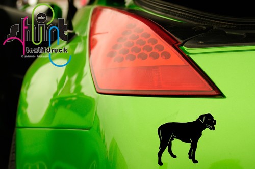 350 american bulldog - a,