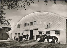 Winzeln Pirmasens Reithalle Pferde