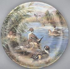 Sammelteller Spießenten in