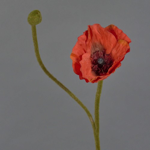 Artplants kunstblume mohnblume - artplants,