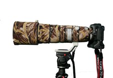 Canon Ef 200 400mm f4 L Is