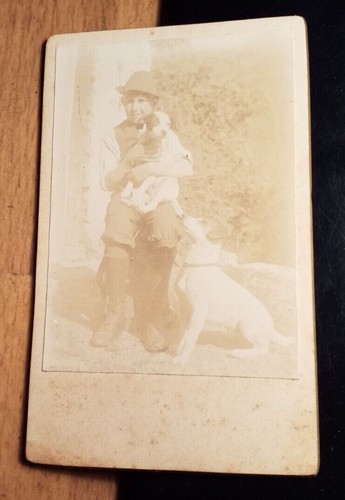 Junge mit hut hunde - hunde, /