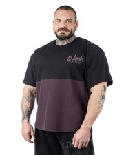 Legal power split - legal,