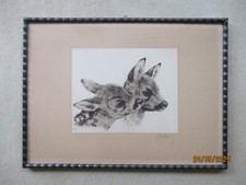 Kurt Meyer Eberhardt Rehkitze signiert