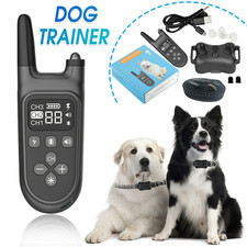 Antibell Hundehalsband Erziehungshalsband  Haustier Wasserdicht Elektroschock