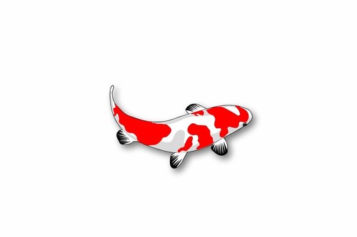 Aufkleber vinyl karpfen - aufkleber, koi