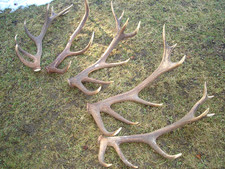 5Abwurfstangen 10,76