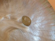 Zultanit - Turkish Diaspore -