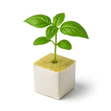 Steinwolle Würfel Anzucht für Steckling Sämlinge Pflanzenanzucht Stecklinge Aufz