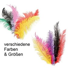 Straußenfeder 35, 40 oder 45 cm Straußen Feder zum Basteln Dekorieren 123699113