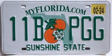 Florida Kennzeichen USA