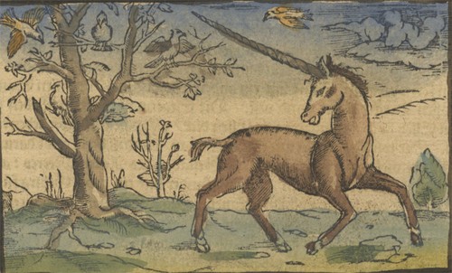 Einhorn sebastian münster - sebastian,