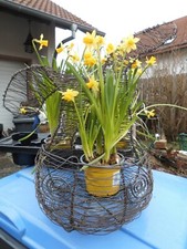 Drahtkorb OSTERHASE Landhaus OSTERN Unikat Handarbeit NEU Metall