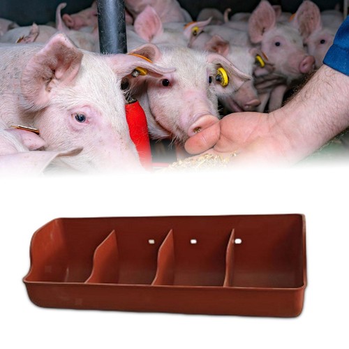 Futtertrog für schweine - futtertrog,