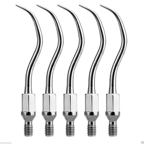 Zeg spitze dental - zeg,