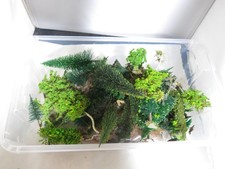 Bäume Modell Garten Zug Eisenbahn  Landschaft konvolut