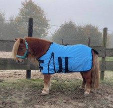 Neue 75cm 1200d Shetty/Pony