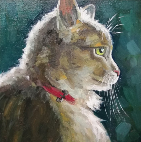 Porträt katze - porträt,