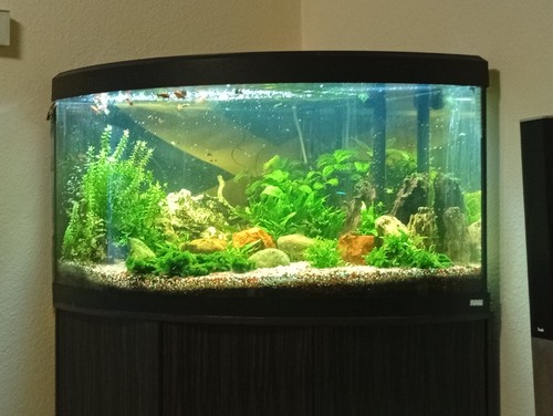 Eckaquarium mit unterschrank - eckaquarium,