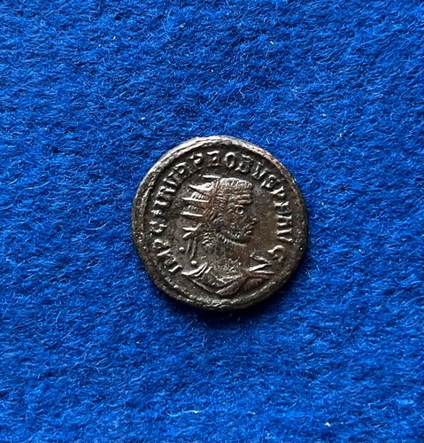 Probus antoninian clementia - probus,