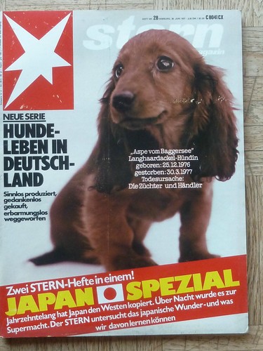 Stern juni 1977 - -, 30.