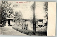 13554423 - 2000 Gross Borstel