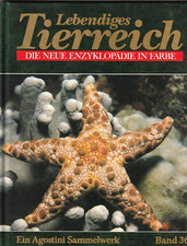 📚 Lebendiges Tierreich *