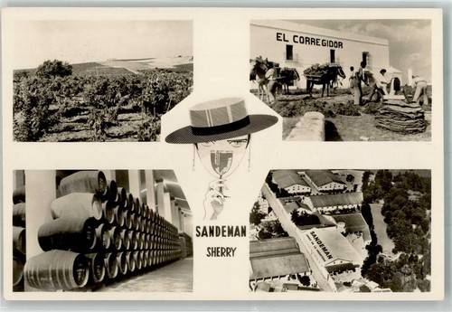 13550815 sandemann sherry el - sherry,