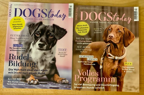 Zeitschrift dogstoday hunde - zeitschrift,