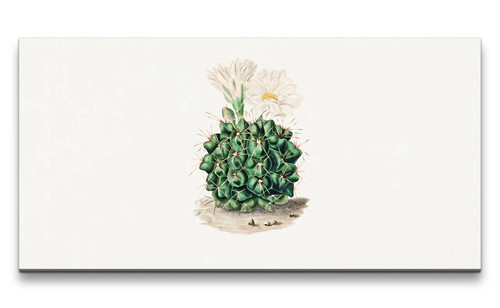 120x60cm remaster schöner - 120x60cm,