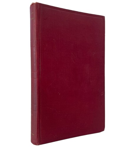 Voltaire candidus zadig - -, /