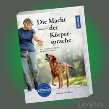 Die Macht der Körpersprache |