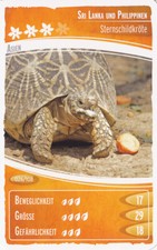 Netto     Ozeanien 2        "