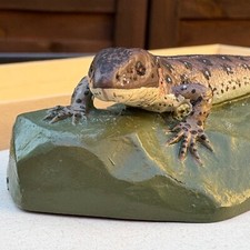 ORIG! DDR LEBENSECHTE ZAUNEIDECHSE WEIBLICH SCHULMODELL DEUTSCHES HYGIENEMUSEUM