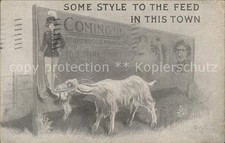 Ziege Plakat Werbung 