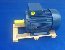 VEM BHKW Generator 18kVA 400V 50Hz 42mm Drehstrom Asynchronläufer Elektromotor 