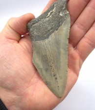 Heartbreaker 11,4 cm