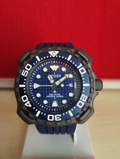 CITIZEN WHALE SHARK LIMITED