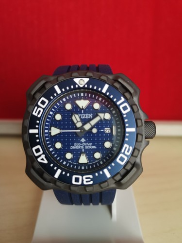 Citizen whale shark limited - whale,