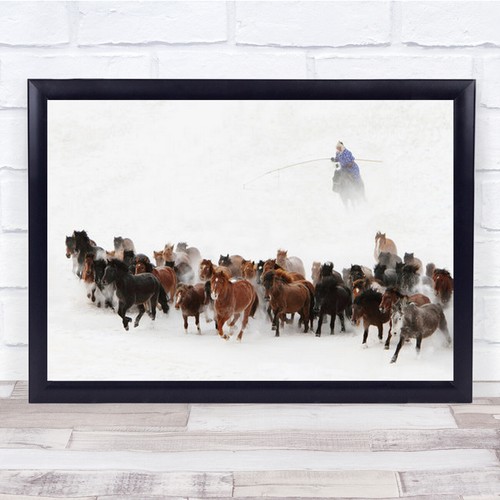 Pferd läuft schnee - läuft,