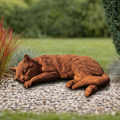 Schlafende katze rost - schlafende,