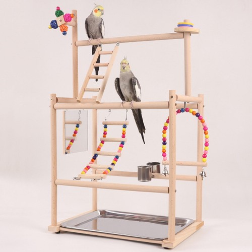 Papageien spielständer - papageien,