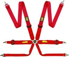 VERKAUF! FIA OMP 6-Punkt