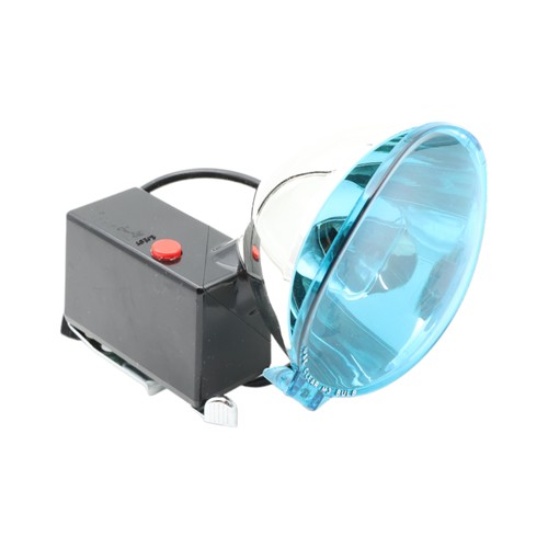 Polaroid model 268 bulb - model,