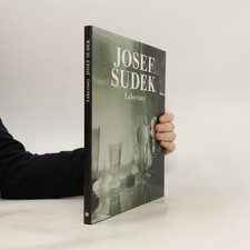 Labyrinty  |  Josef Sudek