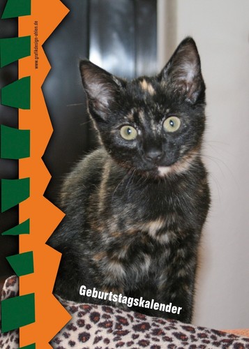 Geburtstagskalender - ,