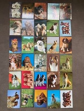 Tierpostkarten Hunde 30 Stück Sammlung Auflösung