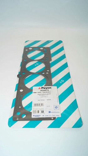 Payen ag9570 - payen,